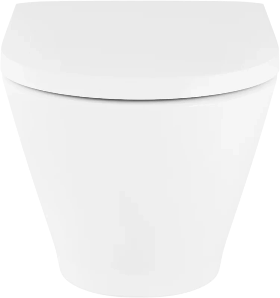 Унитаз подвесной Lavinia Boho Elegant безободковый 3308001R (детальная фотография), безободковые, сиденье с микролифтом , с антивсплеском index_1