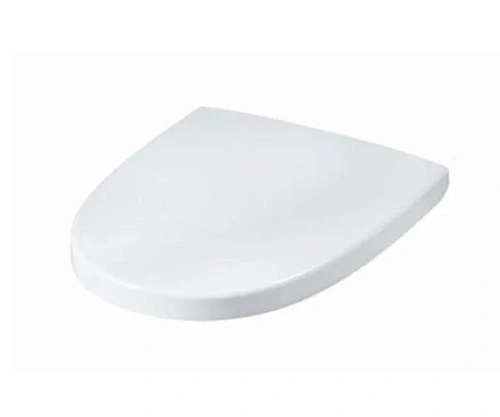 Крышка-сидение с микролифтом Am.Pm Spirit 2.0 для приставного унитаза - фото 2