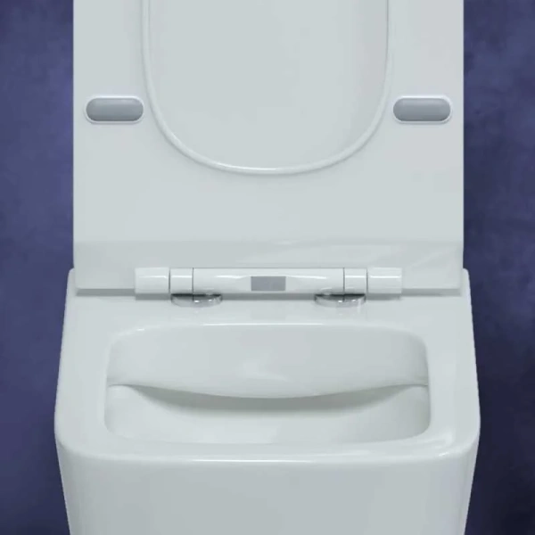 Унитаз подвесной BERGES Floe сиденье быстросъемное 082121 (детальная фотография), безободковые