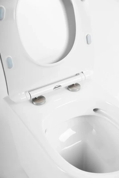 Крышка-сиденье с микролифтом BelBagno Tanto быстросъемная BB2034SC (детальная фотография), в наличии