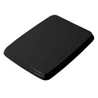 Крышка-сидение с микролифтом Artceram Civitas черная