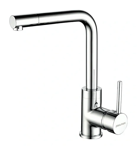Смеситель для кухни Paulmark Honner хром - фото 1