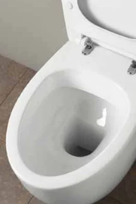 Унитаз подвесной Simas Bormio безободковый BR18bi (детальная фотография), без бачка, со скрытым бачком