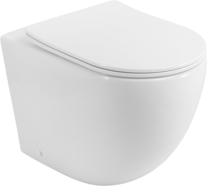 Унитаз напольный BelBagno Sfera-R безободковый BB2141CB-TOR/SC (детальная фотография)
