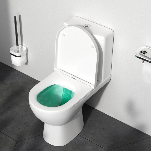 Унитаз компакт Am.Pm Sunny с сиденьем микролифт C85C8600SC (детальная фотография), с бачком