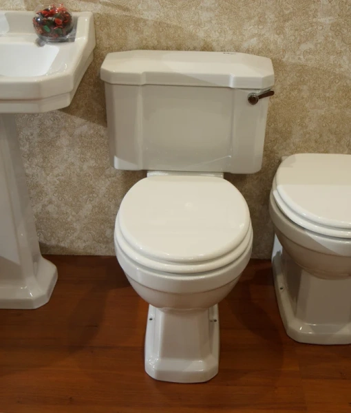 Чаша для унитаза-компакта BelBagno Trevi с горизонтальным выпуском BB135CP (детальная фотография), с бачком