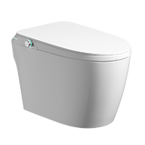 Унитаз напольный Laguraty с биде S680 (детальная фотография)