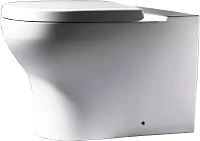 Чаша для унитаза Bravat Rael