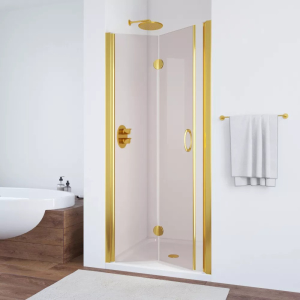 Душевая дверь Vegas-glass GPS 75 (детальная фотография) index_1