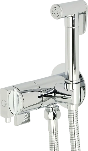 Гигиенический душ со смесителем Migliore Fortis хром 31557 (детальная фотография)