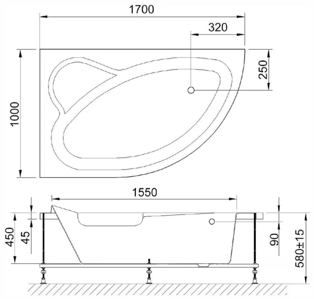 Акриловая ванна Royal Bath Alpine RB 819102 L/R 170 х 100 см RB819102L (детальная фотография), акриловые