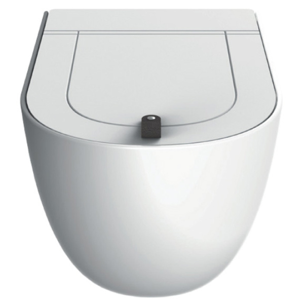 Унитаз подвесной Artceram The One белый матовый THV001 05 00 bianco matt (детальная фотография), без бачка