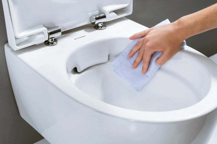 Унитаз с инсталляцией Geberit iCon сиденье микролифт 500.300.01.I (детальная фотография), с инсталляцией index_1