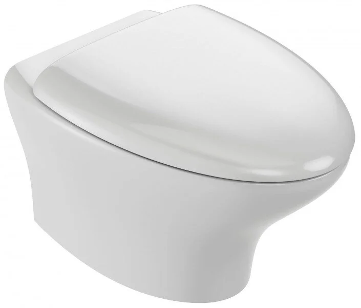 Унитаз подвесной Jacob Delafon Nouvelle Vague безободковый EDJ102-00 (детальная фотография)