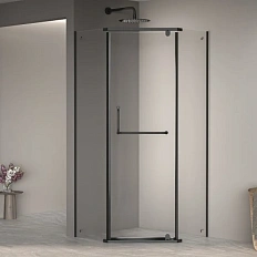 Душевой уголок RGW Passage PA-081B 120x120 см профиль черный стекло прозрачное