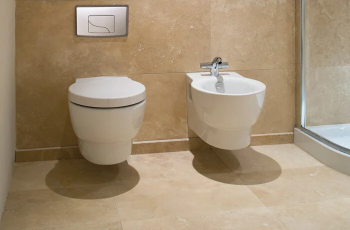 Биде подвесное Jacob Delafon Ove горизонтальный выпуск E1586-00 (детальная фотография), круглой формы