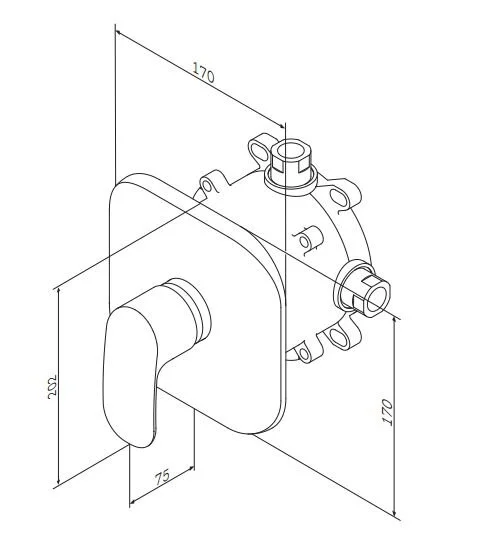 Смеситель для душа AM.PM Sensation F3075000 (детальная фотография), для душа