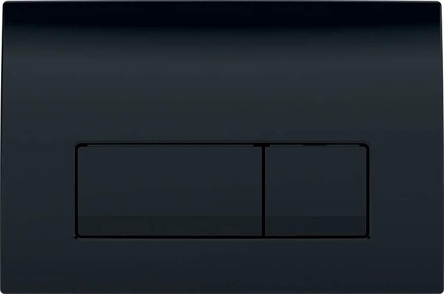 Клавиша смыва Geberit Delta 50 для двойного смыва черный глянец 115.119.DW.1 (детальная фотография)