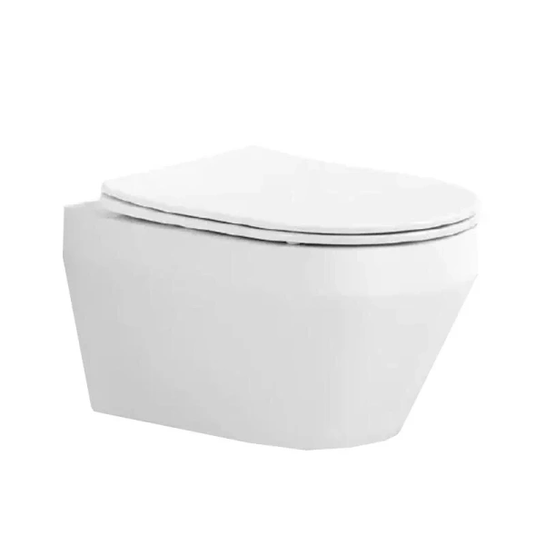 Унитаз подвесной Акватек Лея безободковый AQ1199-00 (детальная фотография)