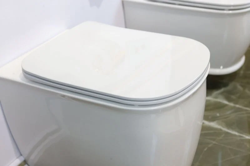 Унитаз напольный BelBagno Prado приставной BB10150CB (детальная фотография), без бачка, со скрытым бачком
