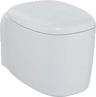 Унитаз подвесной VitrA Plural матовый белый