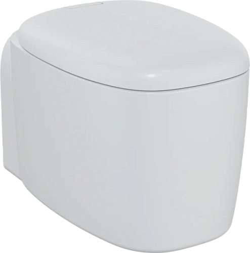 Унитаз подвесной VitrA Plural матовый белый - фото 1