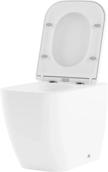 Унитаз напольный Lavinia Boho One с сиденьем микролифт 33020050 (детальная фотография) index_1