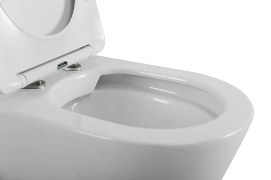 Унитаз напольный BelBagno Flay-R белый BB1003CBR/SC (детальная фотография), фаянс, керамика