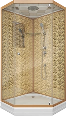 Душевая кабина Niagara Luxe NG-7702D 100x100 см многоугольная