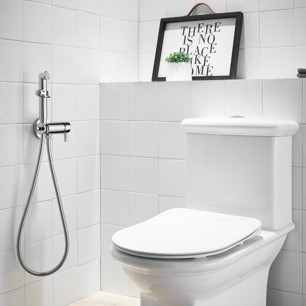 Гигиенический душ со смесителем Lemark Solo встраиваемый хром LM7166C (детальная фотография), для туалета