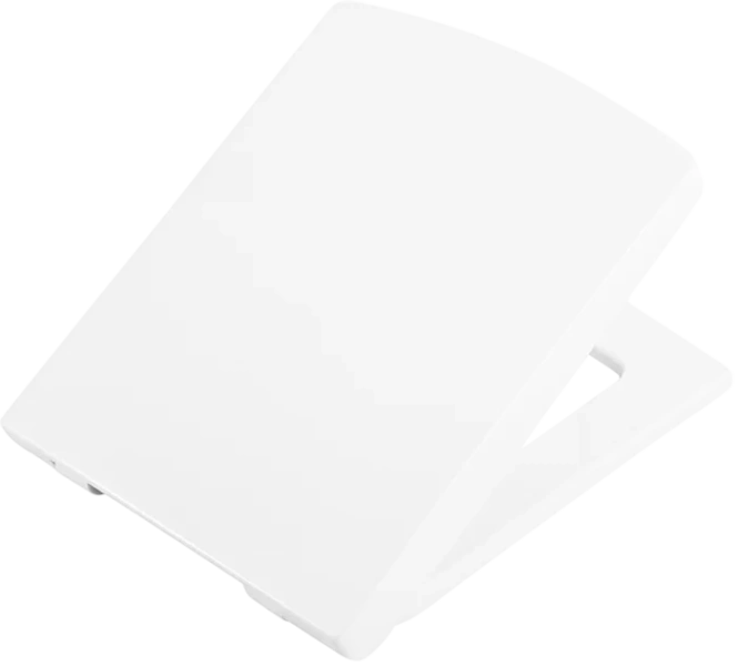 Крышка-сидение BelBagno Regina быстросъемная с микролифтом BB104SC (детальная фотография)