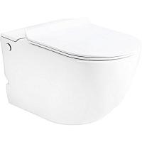 Унитаз подвесной Ceruttispa Barbaria с функцией импульсного смыва