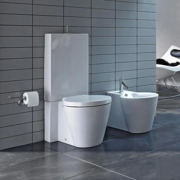 Сиденье для унитаза, съемное, soft close, петли нержавеющая сталь, Duravit Starck 1 0065880099 (детальная фотография), напольные index_1