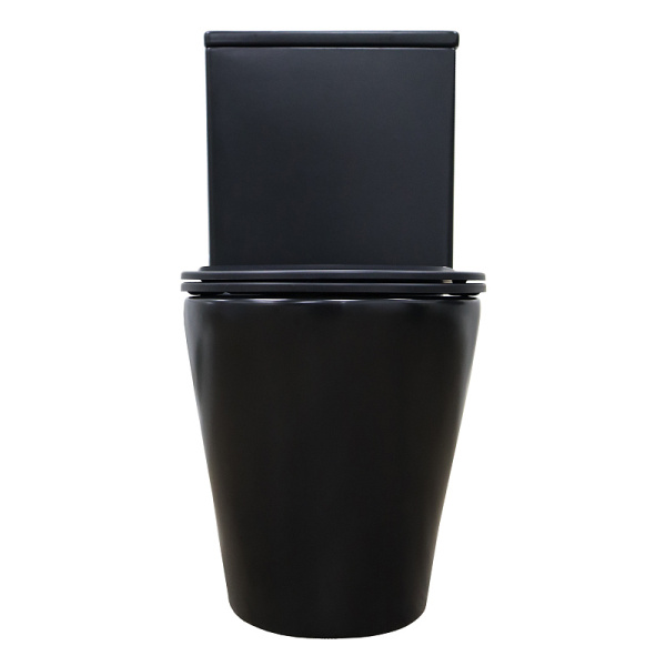 Унитаз компакт Azario Black Queen черный матовый AZ-8380 (детальная фотография), с горизонтальным, прямым выпуском, с прямым выпуском