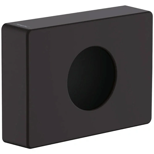 Контейнер для гигиенических пакетов Hansgrohe AddStoris черный матовый - фото 1