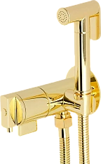 Гигиенический душ со смесителем Migliore Fortis Gold золото