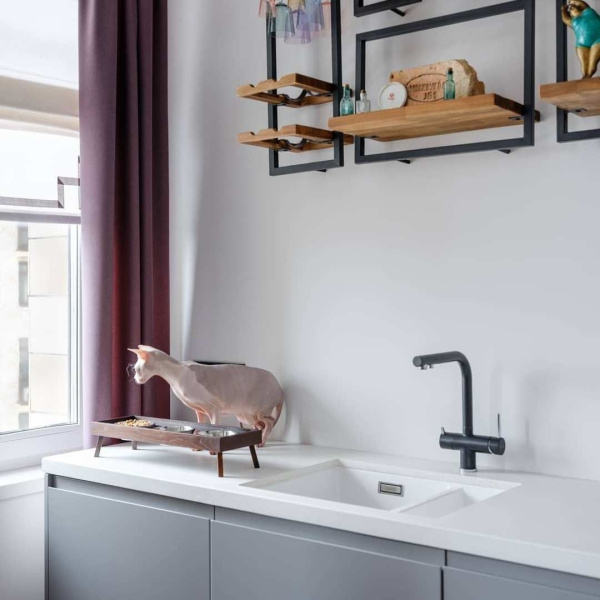 Смеситель для питьевой воды Blanco Fontas II антрацит 525139 (детальная фотография), современные, hi-tech