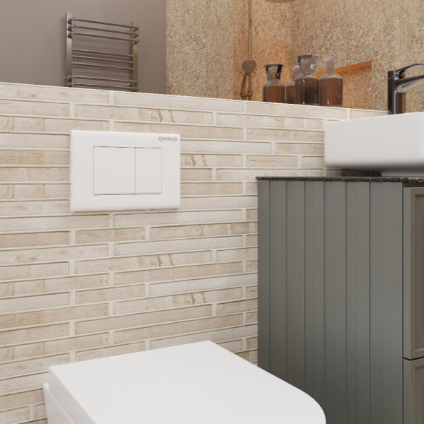 Клавиша смыва Charus Minimalista белая матовая FP.310.12.01 (детальная фотография), в наличии