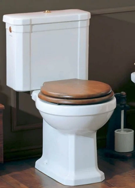 Унитаз напольный Azzurra Guinone GIU 100 (детальная фотография), подвесные