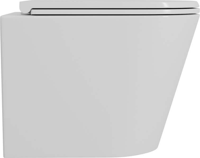 Унитаз подвесной D&K Venice безободковый белый DT1026016 (детальная фотография), без бачка, со скрытым бачком