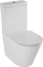 Чаша унитаза-компакта Jacob Delafon Rodin+ белая