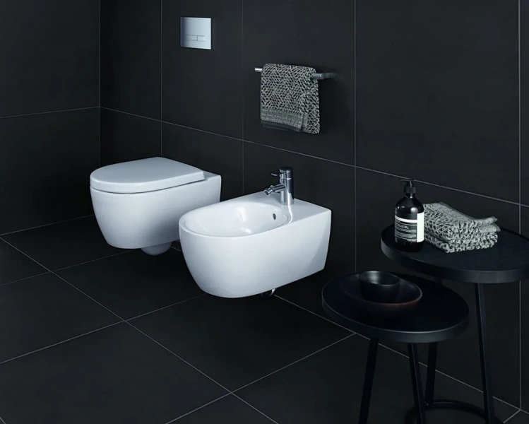 Унитаз подвесной Geberit iCon без ободка 204060000 (детальная фотография), подвесные, встраиваемые