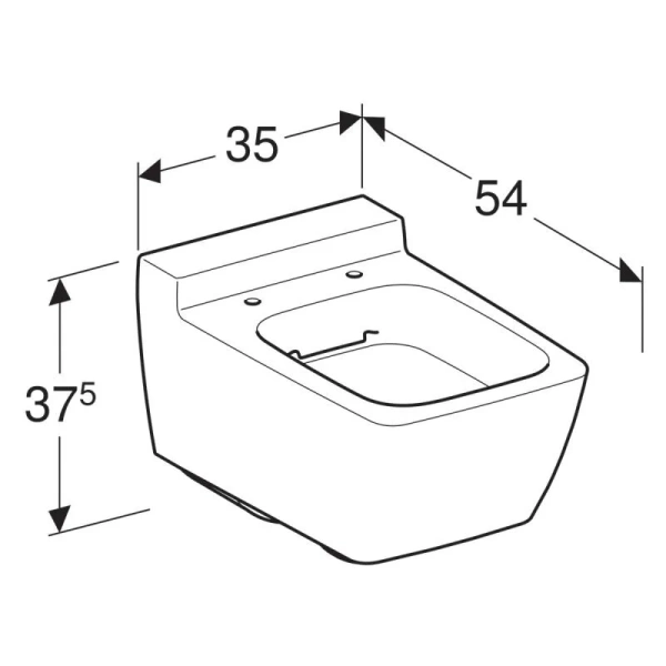 Унитаз подвесной Geberit Xeno² 500.500.01.1 безободковый (детальная фотография), с микролифтом