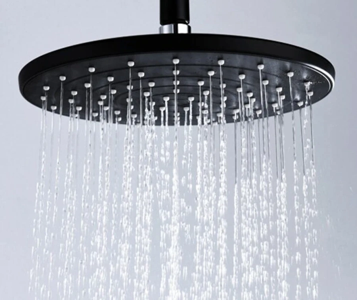 Душевой комплект WasserKRAFT Elbe черный A12777 (детальная фотография), черные