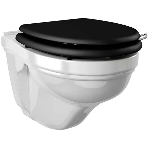 Унитаз подвесной Devon&Devon Blues IBWCSBLUES (детальная фотография)