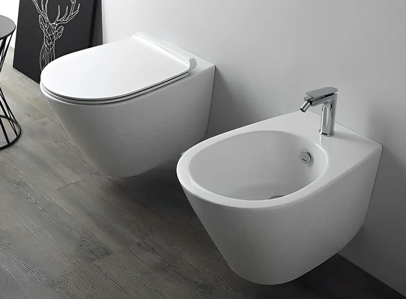 Крышка-сидение с микролифтом Simas Gambassi белая GA004bi/cr (детальная фотография), с микролифтом