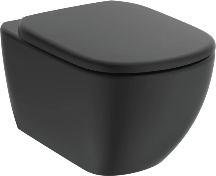 Крышка-сидение с микролифтом Ideal Standard Tesi черная быстросъемная T3529V3 (детальная фотография), в наличии index_1