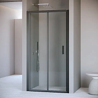 Душевая дверь в нишу RGW Passage PA-21-B 100 см профиль черный, стекло прозрачное