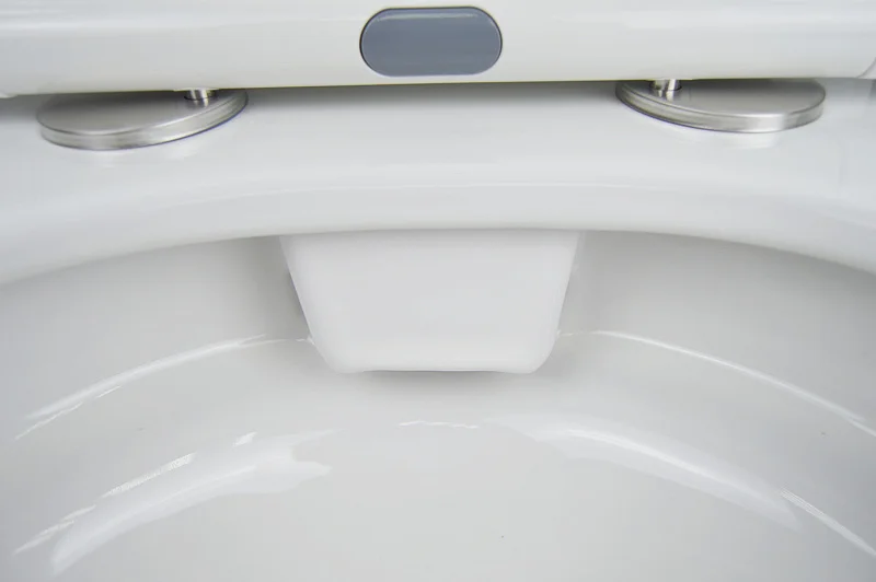 Унитаз компакт Azario Candy безободковый AZ-1503B (детальная фотография), напольные index_1