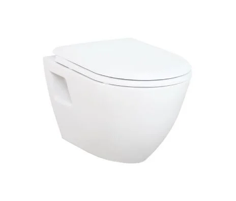 Унитаз подвесной Creavit Terra c функцией биде TP325-00CB00E-0000 (детальная фотография)